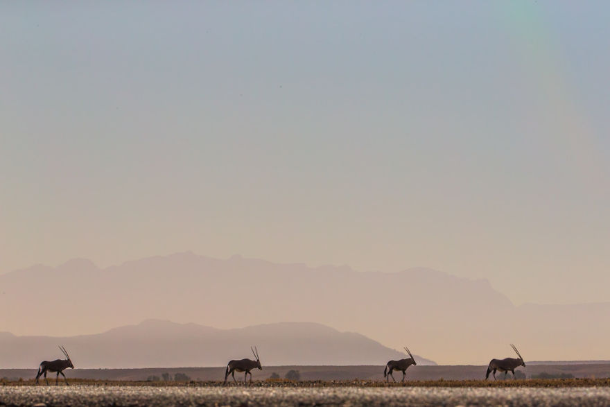 Sossusvlei Sossusvlei