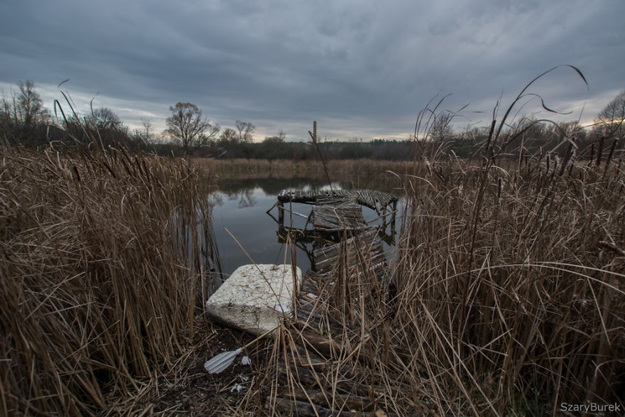 A Totem Of Animal Skulls