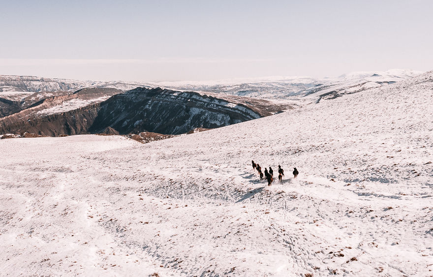 Dagestan Mountains And Wild Horses