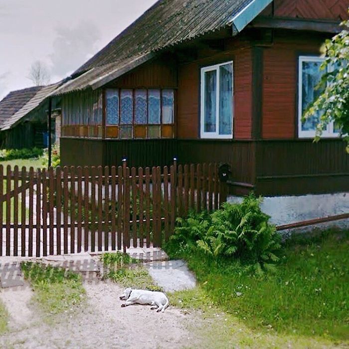 During Quarantine I Travel Around Poland Online And Find These Great Shots On Google Street View