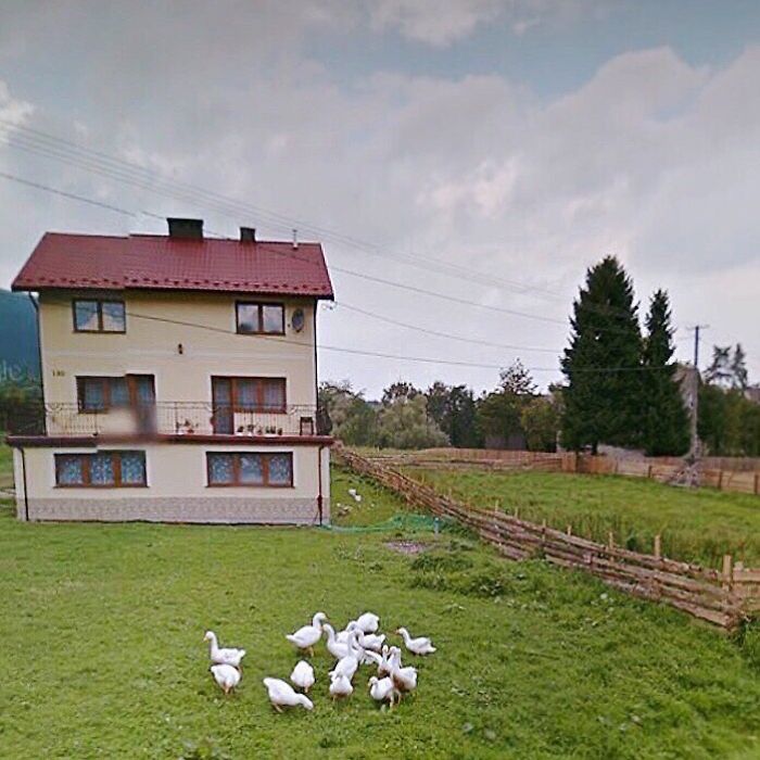 During Quarantine I Travel Around Poland Online And Find These Great Shots On Google Street View