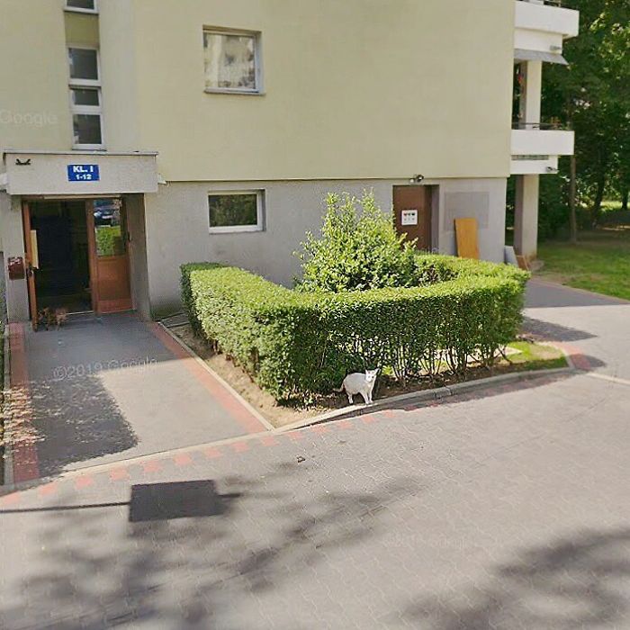 During Quarantine I Travel Around Poland Online And Find These Great Shots On Google Street View