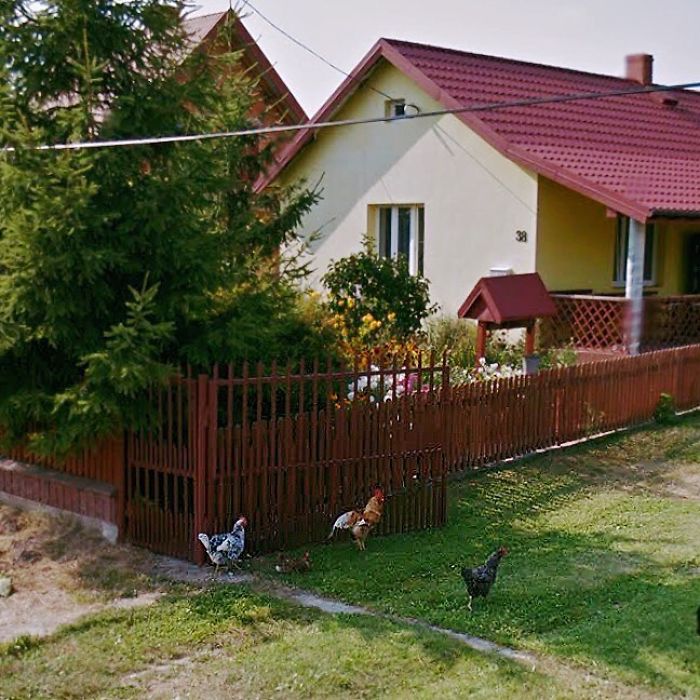 During Quarantine I Travel Around Poland Online And Find These Great Shots On Google Street View