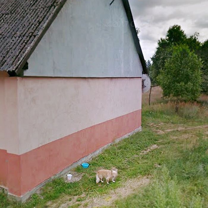 During Quarantine I Travel Around Poland Online And Find These Great Shots On Google Street View
