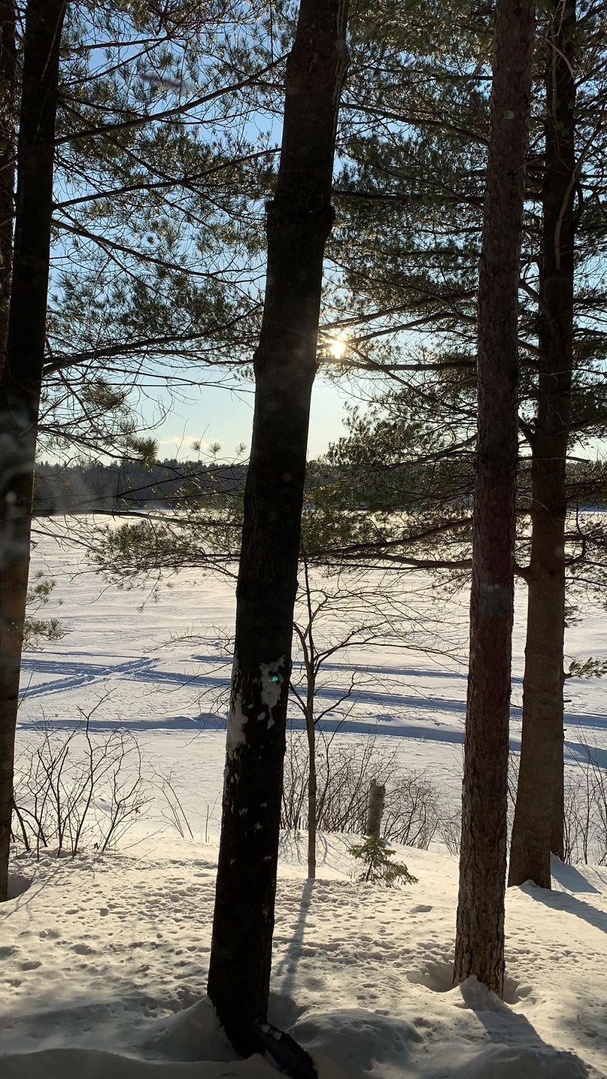 View From Living Room Window Ontario Canada