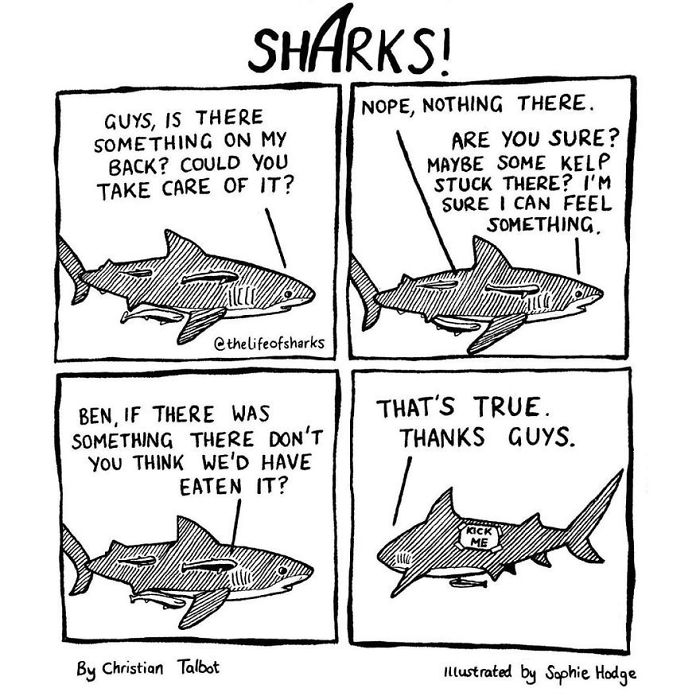 Here R My Comic Like Memes