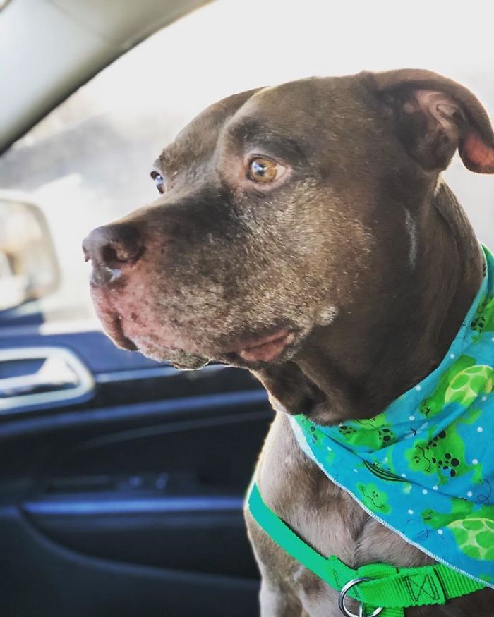 Saying Goodbye To Our Family Member Saying Goodbye To Our Family Member