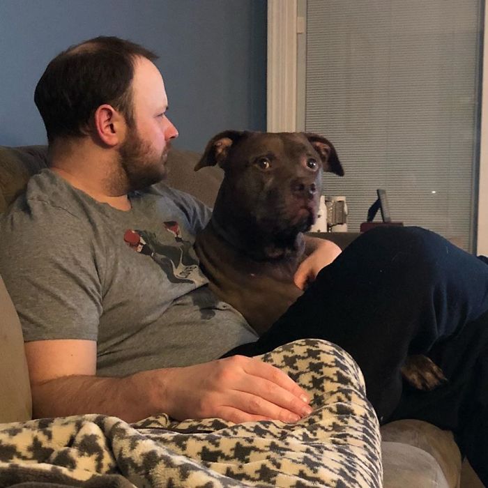 Saying Goodbye To Our Family Member