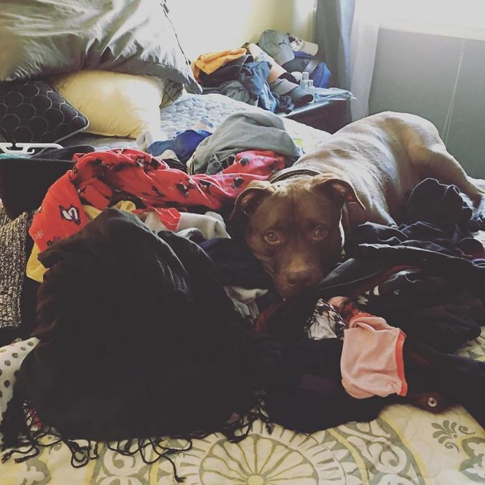 Saying Goodbye To Our Family Member Saying Goodbye To Our Family Member