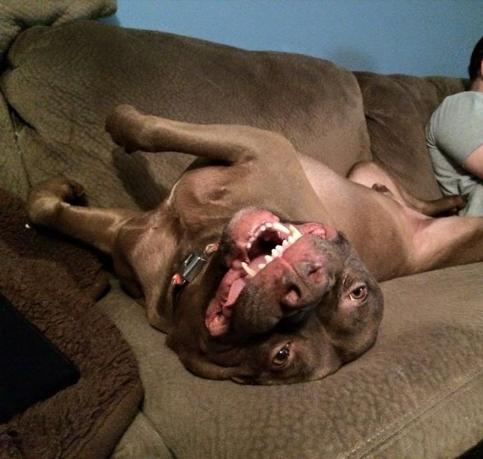 Saying Goodbye To Our Family Member Saying Goodbye To Our Family Member