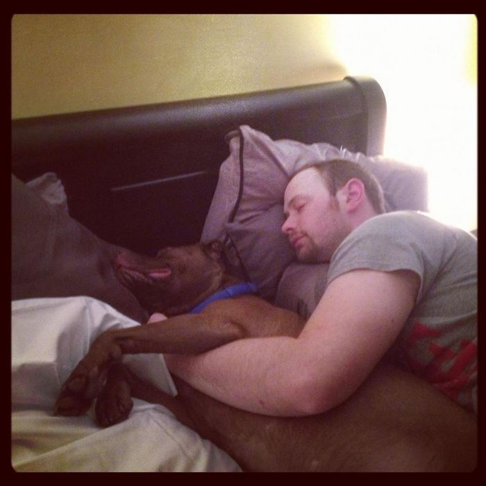 Saying Goodbye To Our Family Member