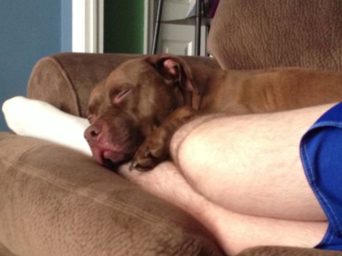 Saying Goodbye To Our Family Member