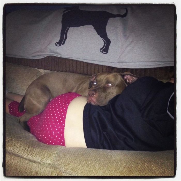 Saying Goodbye To Our Family Member Saying Goodbye To Our Family Member