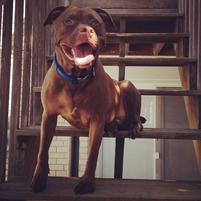 Saying Goodbye To Our Family Member Saying Goodbye To Our Family Member