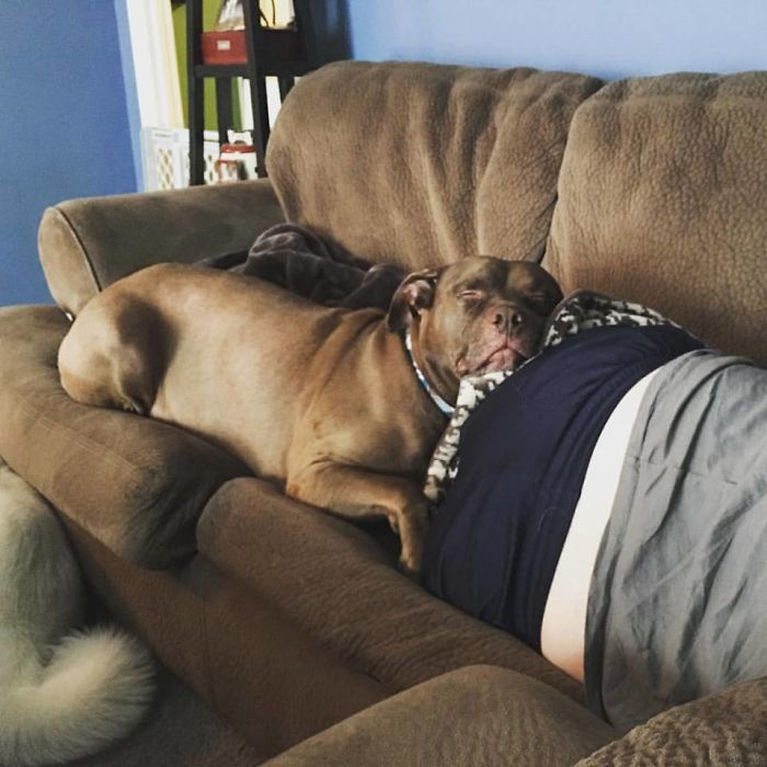 Saying Goodbye To Our Family Member