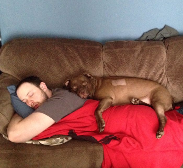 Saying Goodbye To Our Family Member Saying Goodbye To Our Family Member