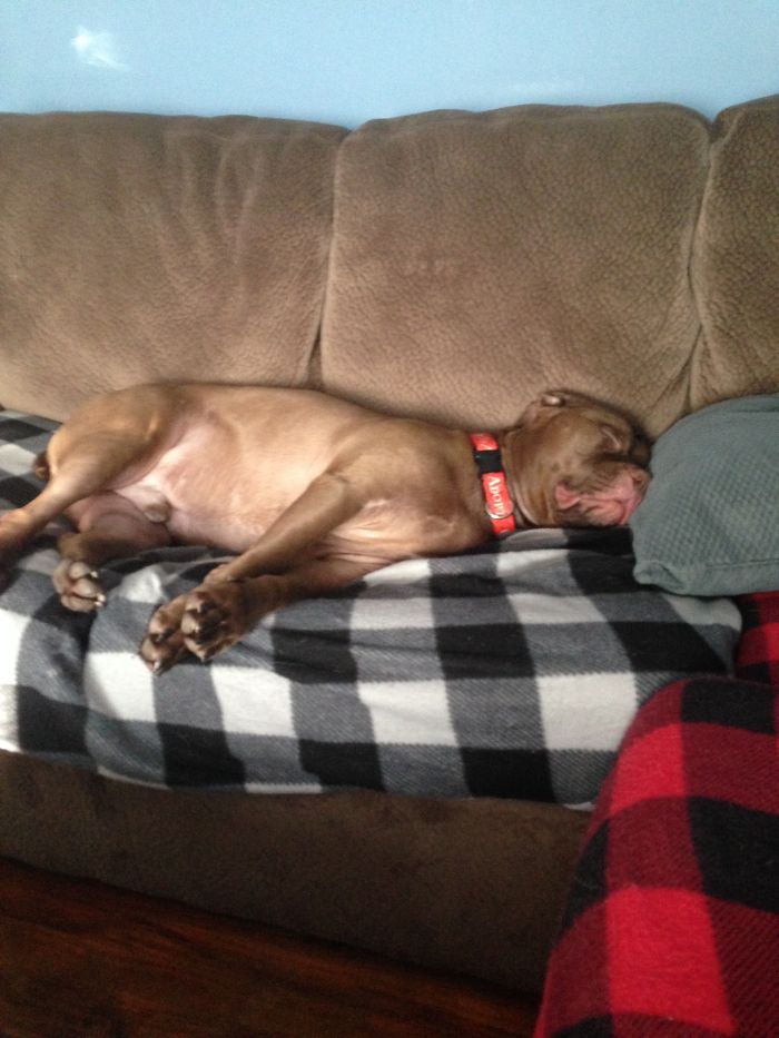 Saying Goodbye To Our Family Member