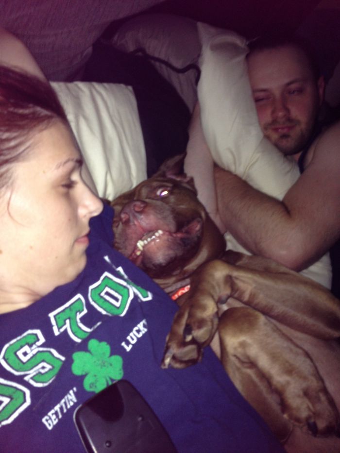 Saying Goodbye To Our Family Member Saying Goodbye To Our Family Member