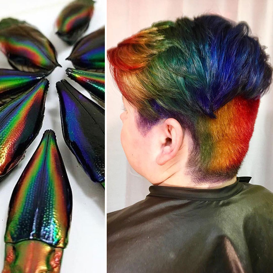 Hairdresser Is Inspired By Nature To Create Colored Hair And The Result Is Incredible