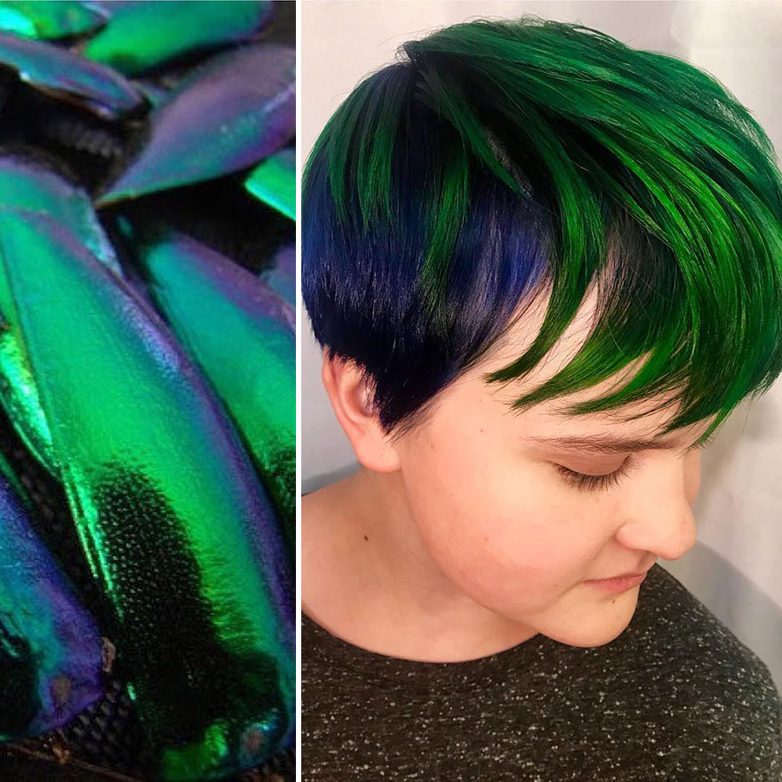 Hairdresser Is Inspired By Nature To Create Colored Hair And The Result Is Incredible