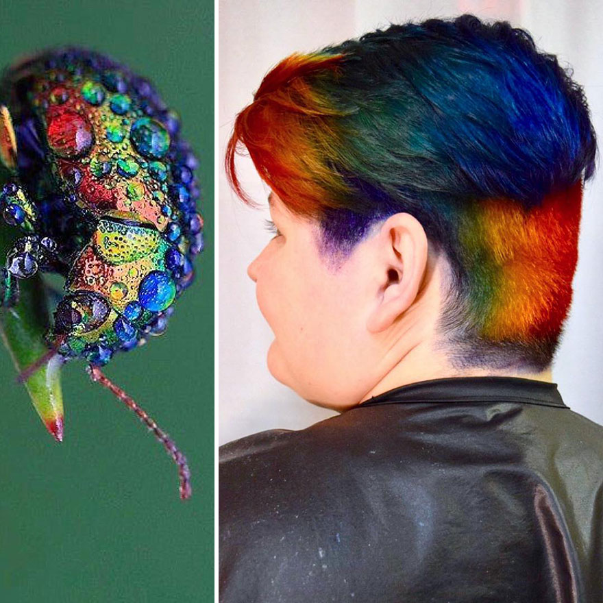 Hairdresser Is Inspired By Nature To Create Colored Hair And The Result Is Incredible