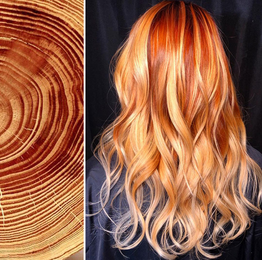Hairdresser Is Inspired By Nature To Create Colored Hair And The Result Is Incredible