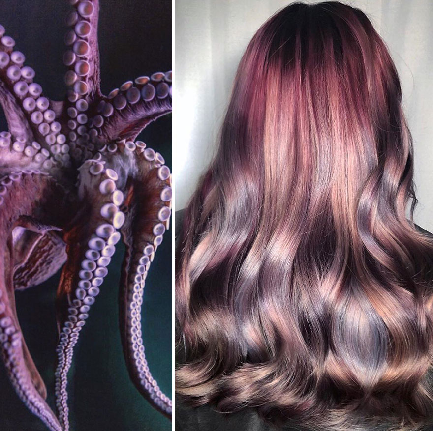 Hairdresser Is Inspired By Nature To Create Colored Hair And The Result Is Incredible