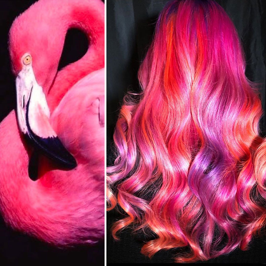 Hairdresser Is Inspired By Nature To Create Colored Hair And The Result Is Incredible