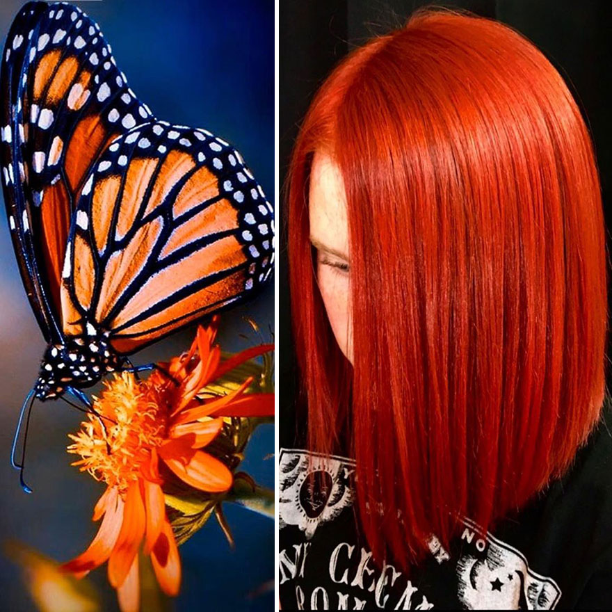 Hairdresser Is Inspired By Nature To Create Colored Hair And The Result Is Incredible