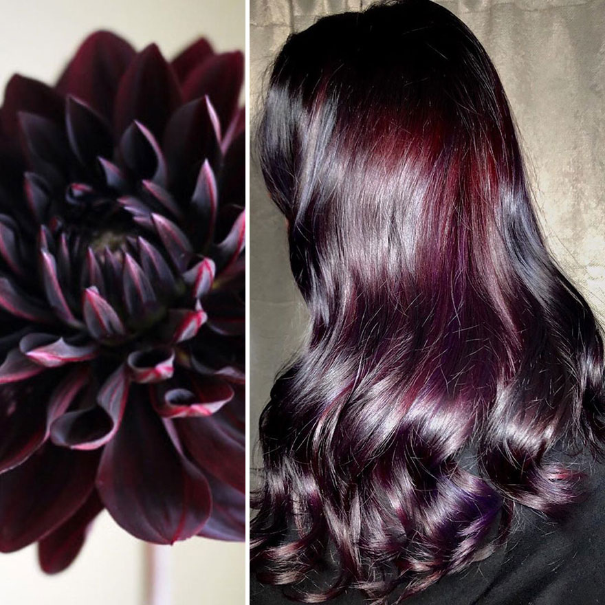 Hairdresser Is Inspired By Nature To Create Colored Hair And The Result Is Incredible