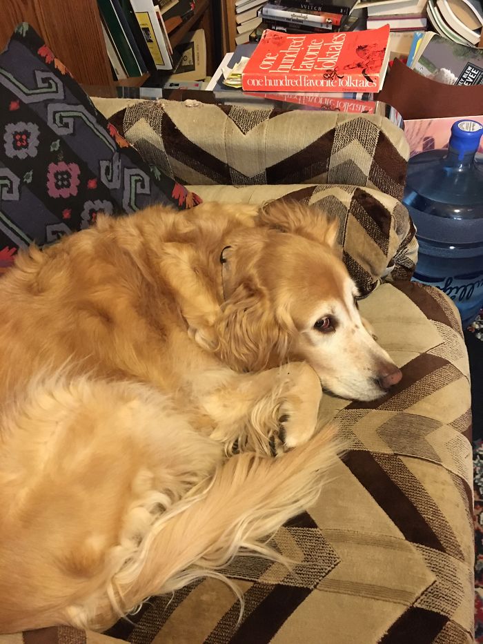 Hard-Working Ta For My Online Folklore Class