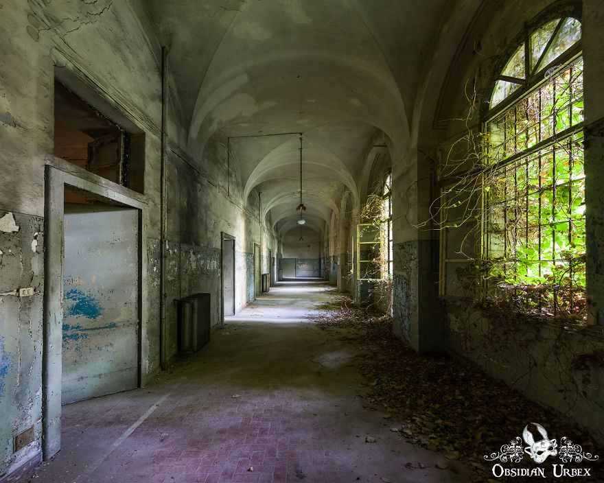 Long Corridor With Nature Taking Over