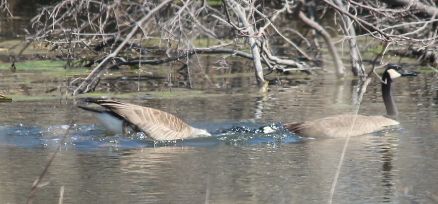 Spring In The Middle Of A Pandemic
