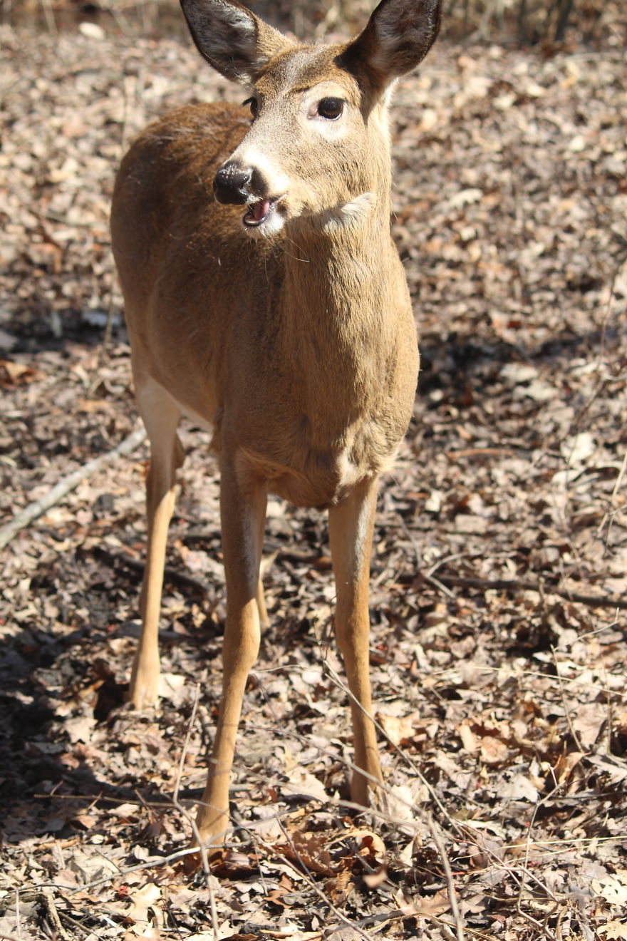 Spring In The Middle Of A Pandemic