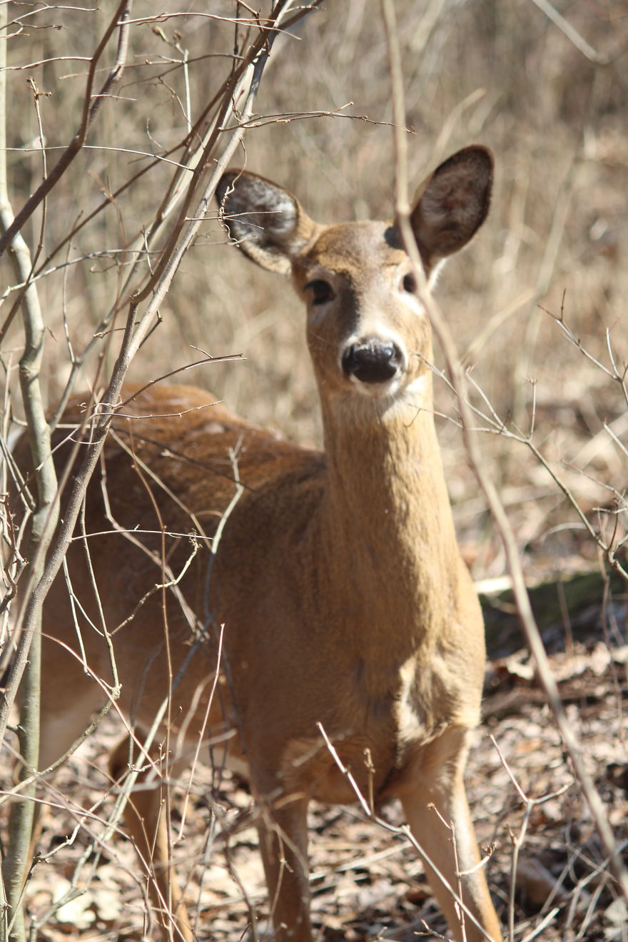 Spring In The Middle Of A Pandemic