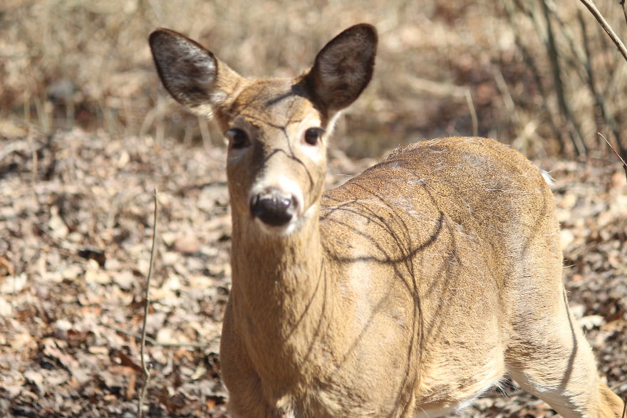 Spring In The Middle Of A Pandemic