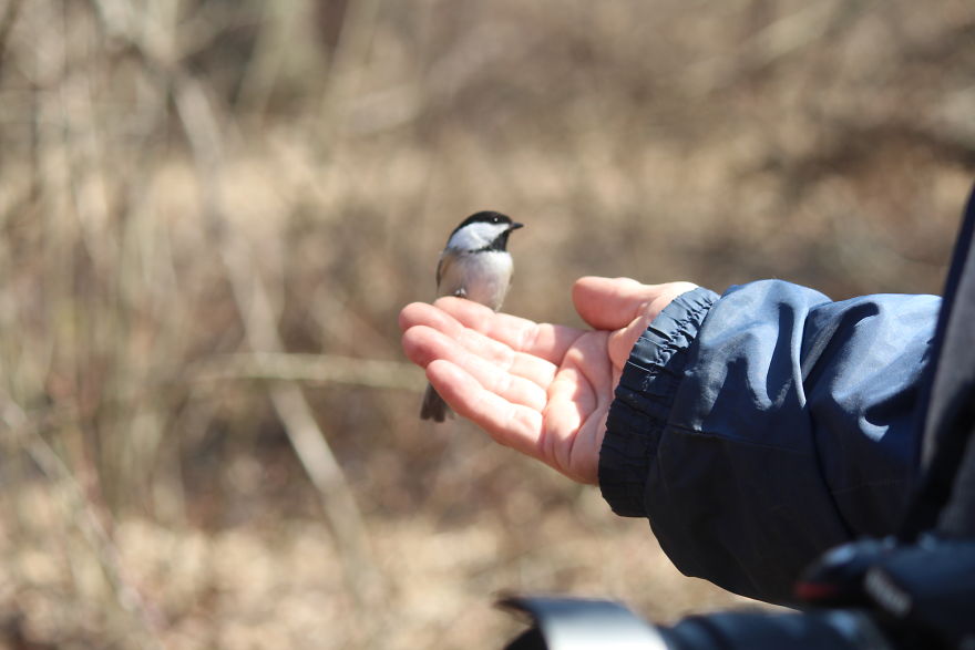 Spring In The Middle Of A Pandemic