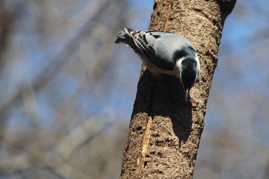 Spring In The Middle Of A Pandemic