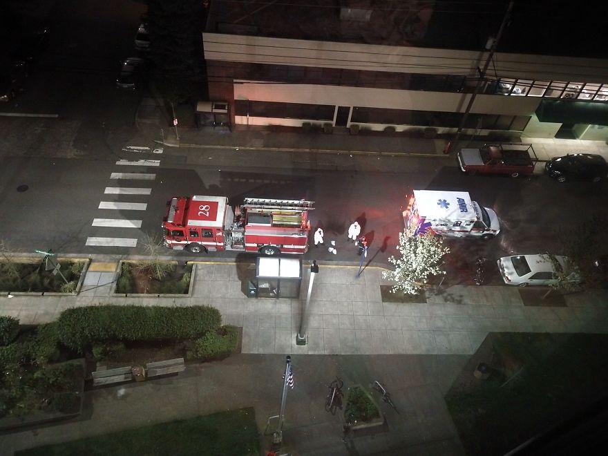 A Little Friday Morning Decontamination...