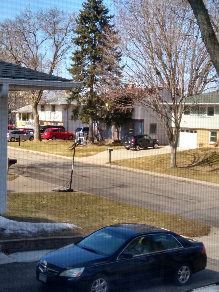 Photo From Roz In Minnesota, U.s.a