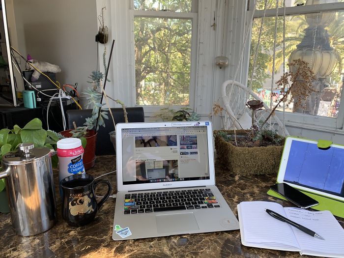 Bringing In The Outside As Much As Possible! Not Pictured: Fluffy Co-Worker