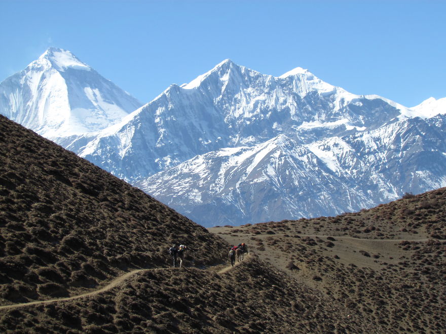 Hiking On The Roof Of The World