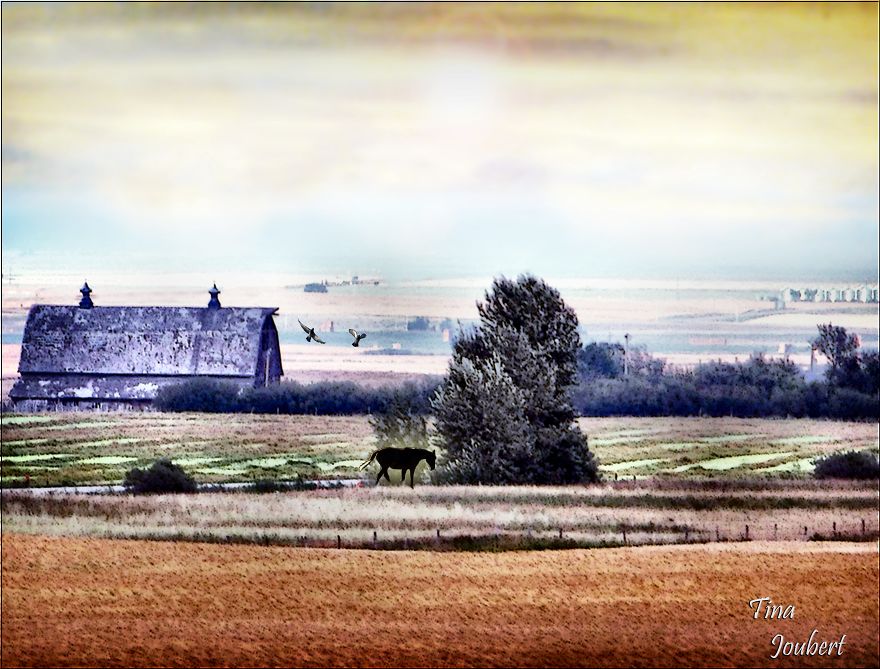 In And Around Calgary Alberta In And Around Calgary Alberta