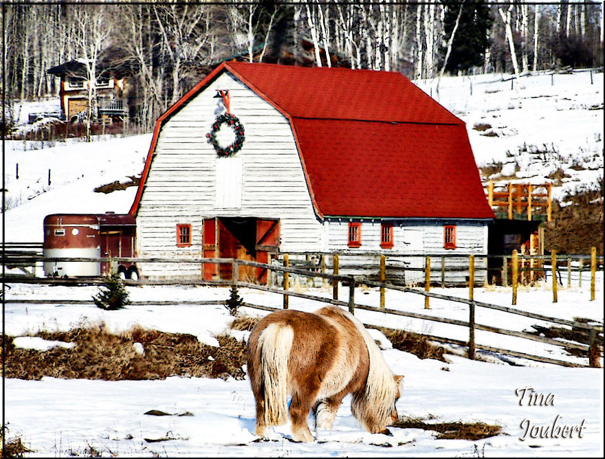 In And Around Calgary Alberta