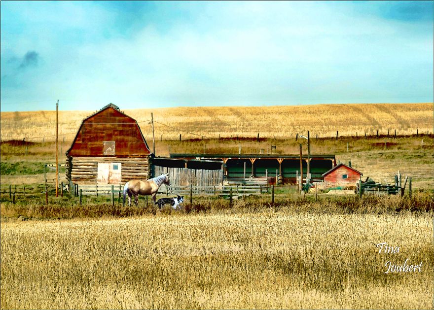 In And Around Calgary Alberta