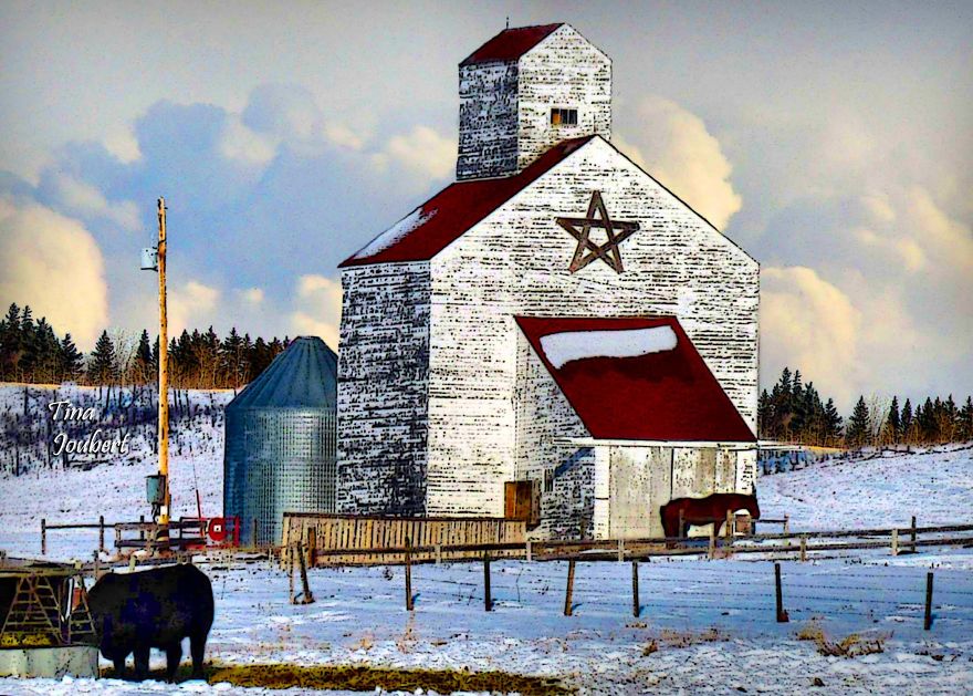 In And Around Calgary Alberta