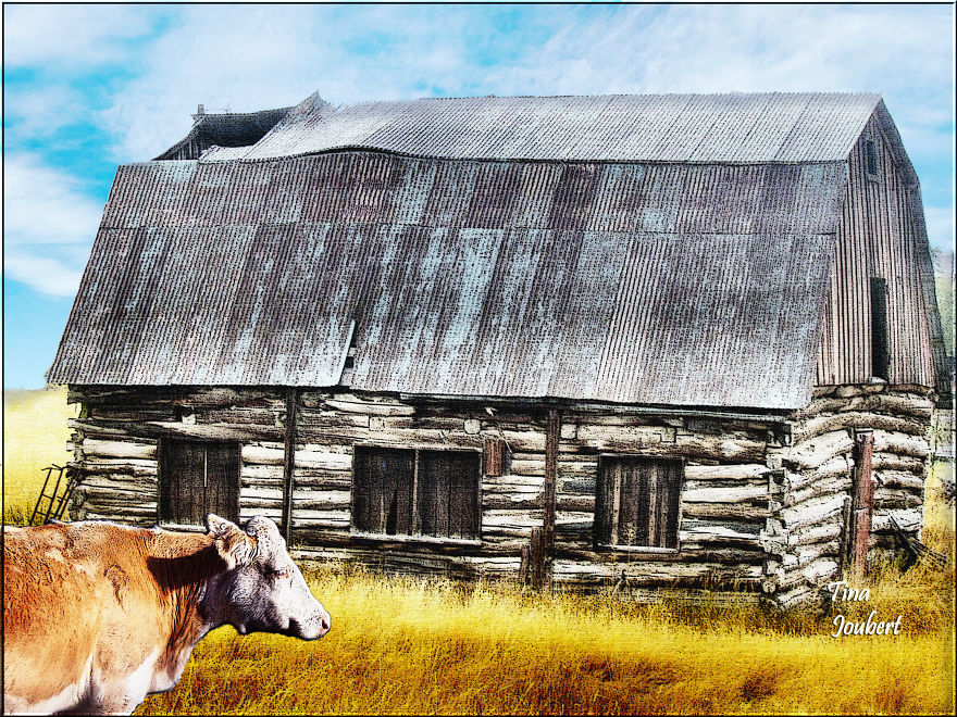 In And Around Calgary Alberta