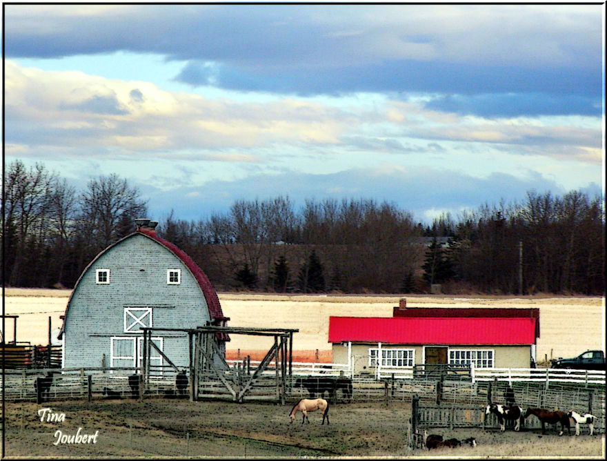 In And Around Calgary Alberta In And Around Calgary Alberta