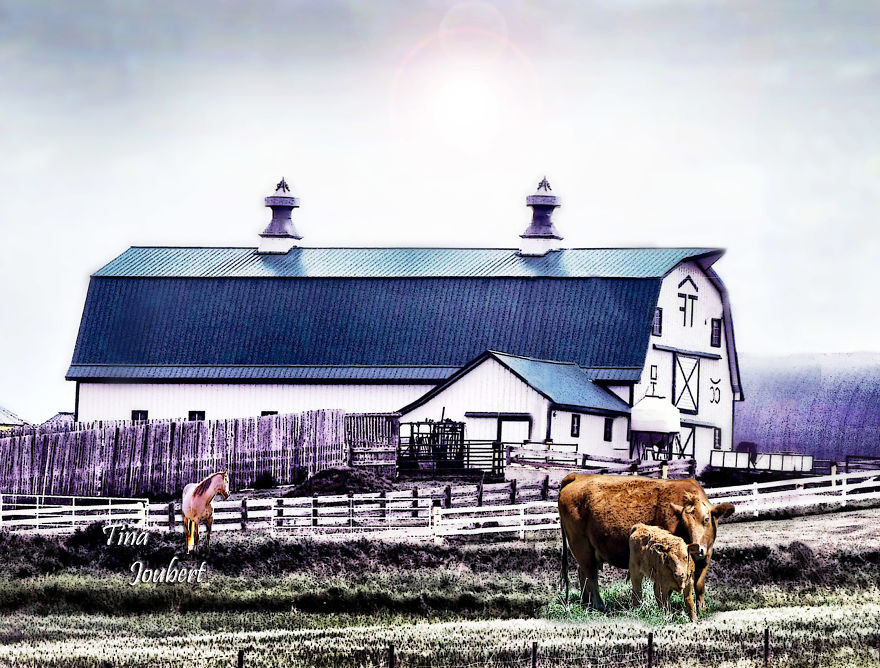 In And Around Calgary Alberta