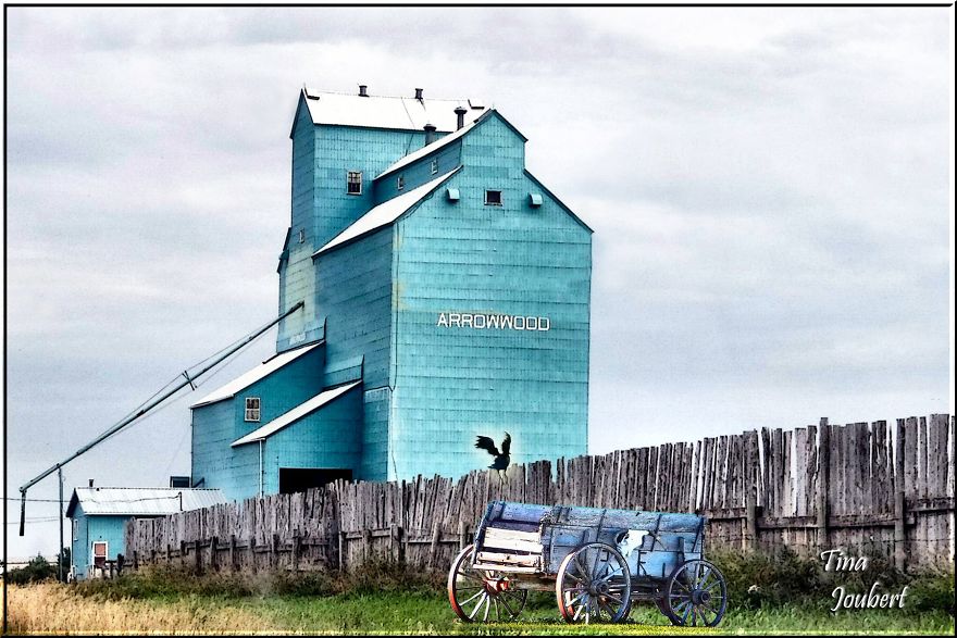 In And Around Calgary Alberta In And Around Calgary Alberta